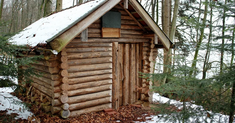 Quand partir pour avoir la neige ? Et quand éviter la foule ?