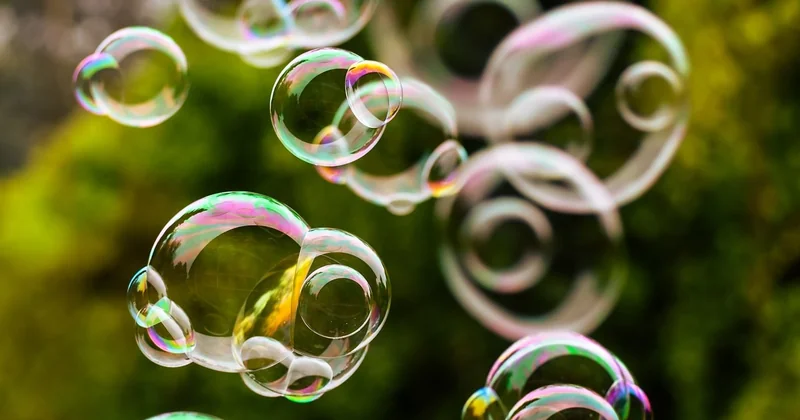 Bulle transparente : comparatif honnête entre les fabricants