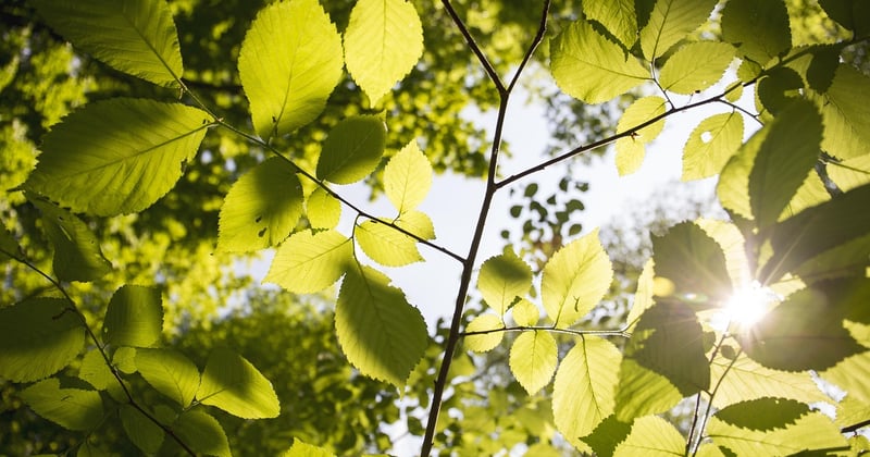 10 activités enfants dans un parc naturel près de Lyon à tester
